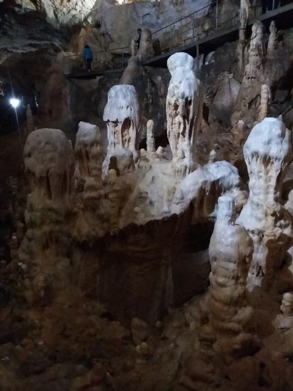 Pensiunea Piatra Graitoare Vartop Exterior foto