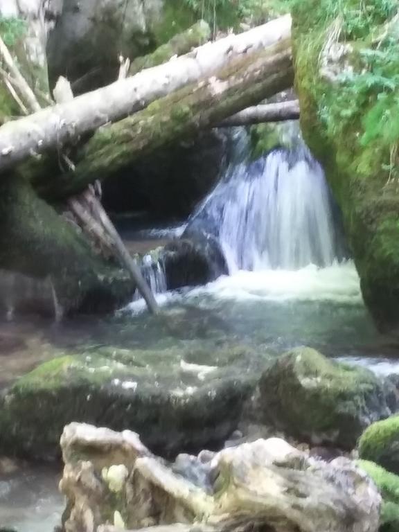 Pensiunea Piatra Graitoare Vartop Exterior foto