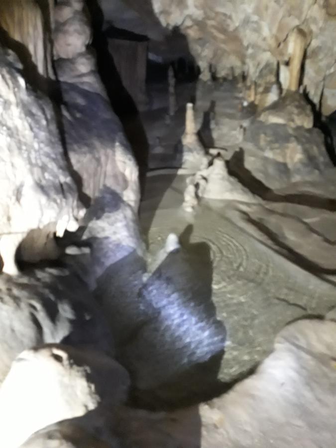 Pensiunea Piatra Graitoare Vartop Exterior foto
