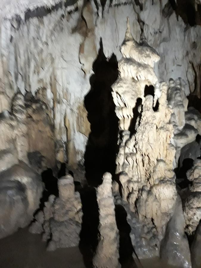 Pensiunea Piatra Graitoare Vartop Exterior foto